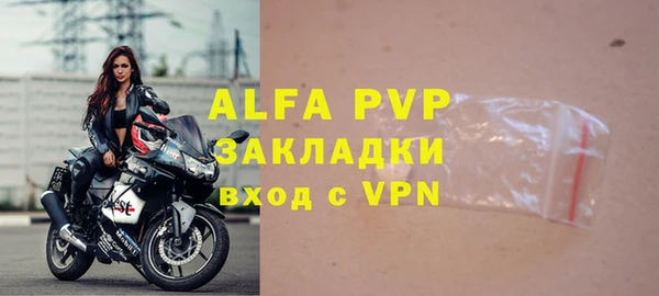 шишки Беломорск
