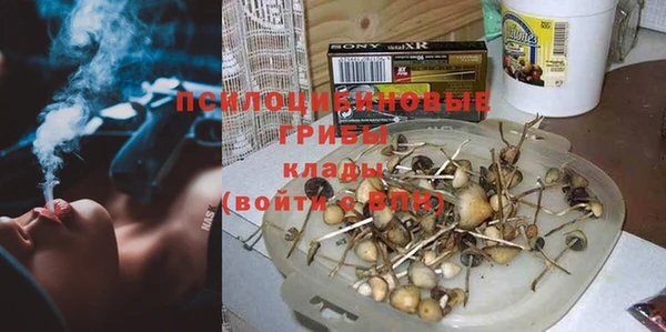 каннабис Белокуриха