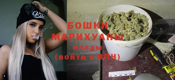 шишки Беломорск
