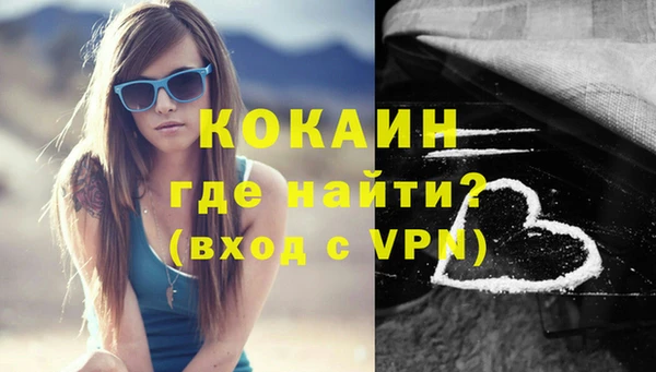 шишки Беломорск